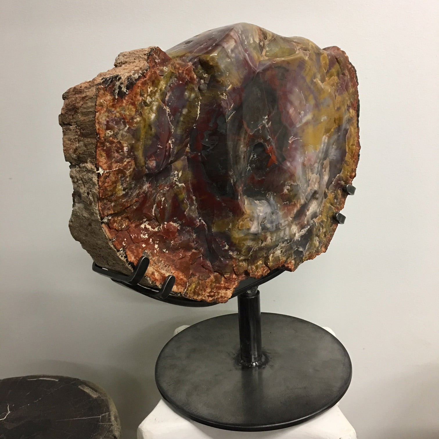 #A8 Museum Arizona Petrified Wood Sculpture Hand Polished On Both Sides - 40 Lbs Plus Rotating Stand
