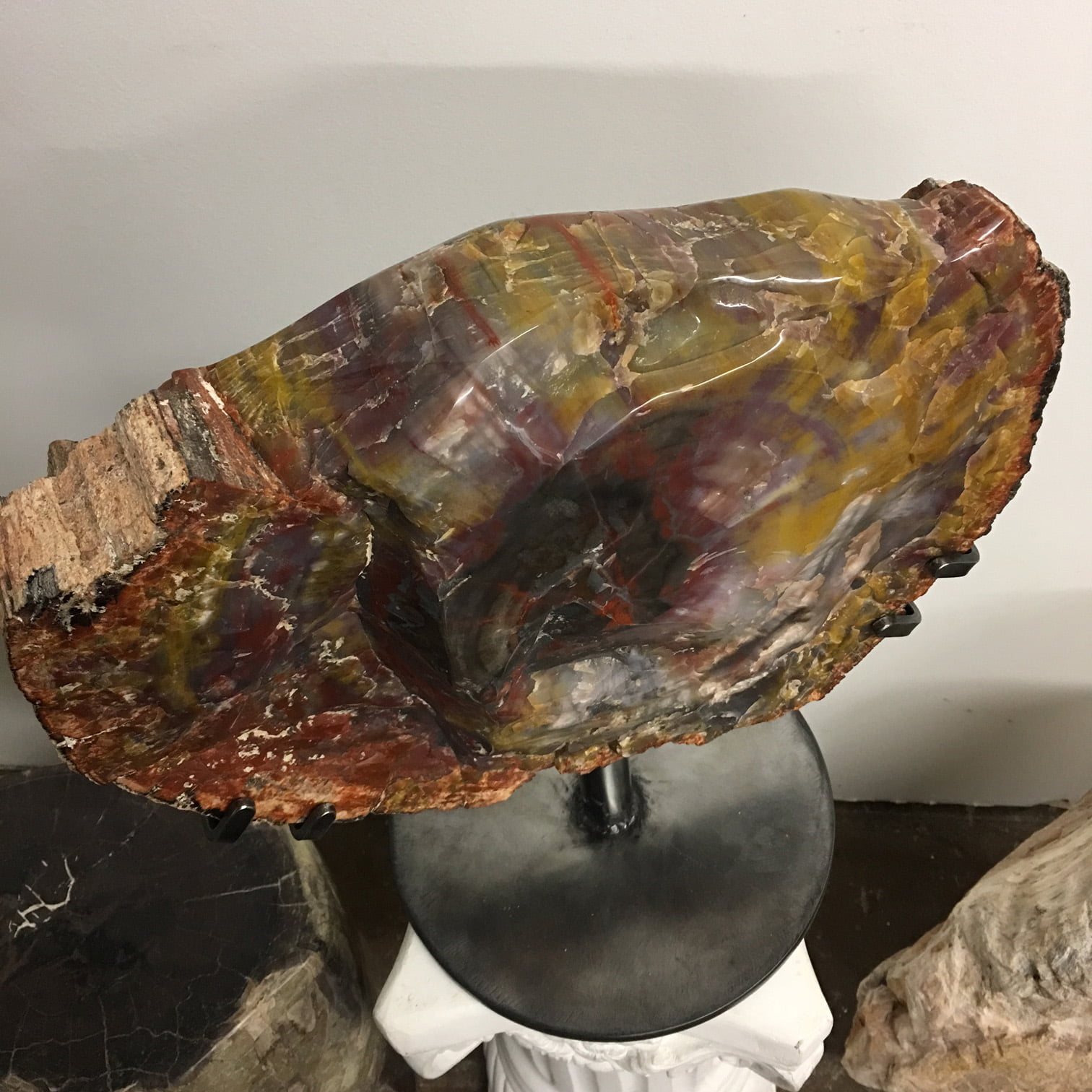 #A8 Museum Arizona Petrified Wood Sculpture Hand Polished On Both Sides - 40 Lbs Plus Rotating Stand