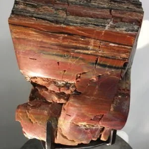 #A5 Museum Arizona Petrified Wood Hand Semi-Polished Sculpture 8″ H X 8.5″ L X 8″ W - 16 Lbs Plus Stand