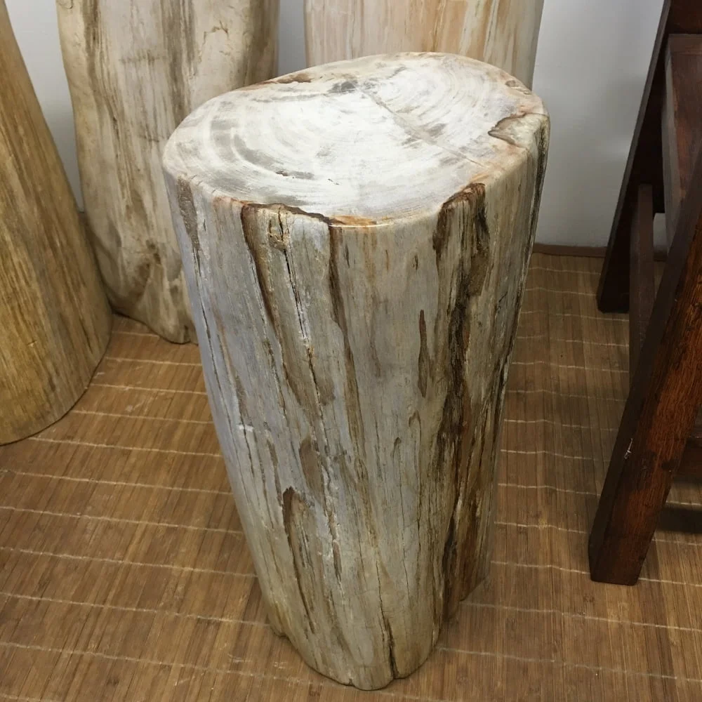 #64 Petrified Wood Table Or Pedestal Or Stool 20" H  x 9" W 92 lbs