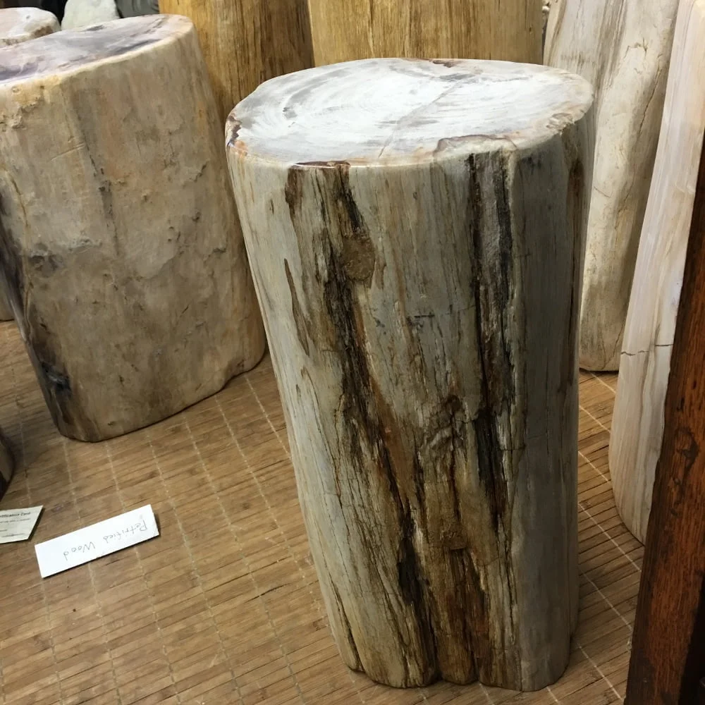 #64 Petrified Wood Table Or Pedestal Or Stool 20" H  x 9" W 92 lbs