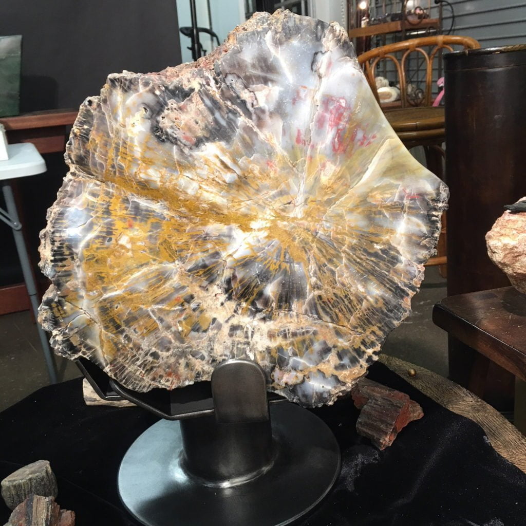 #A6 Museum Arizona Petrified Wood Sculpture Hand Polished With Yellow Starburst & Knot - 120 Lbs