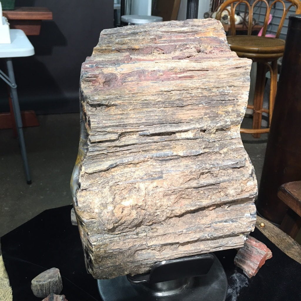 #A6 Museum Arizona Petrified Wood Sculpture Hand Polished With Yellow Starburst & Knot - 120 Lbs