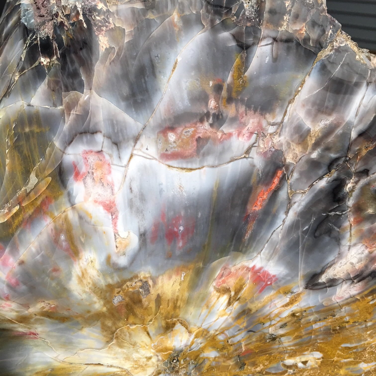 #A6 Museum Arizona Petrified Wood Sculpture Hand Polished With Yellow Starburst & Knot - 120 Lbs