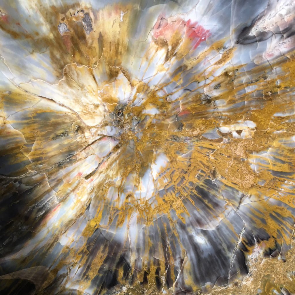 #A6 Museum Arizona Petrified Wood Sculpture Hand Polished With Yellow Starburst & Knot - 120 Lbs