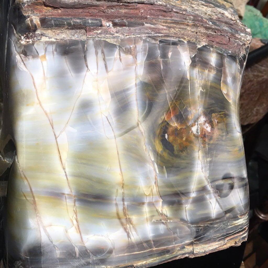 #A6 Museum Arizona Petrified Wood Sculpture Hand Polished With Yellow Starburst & Knot - 120 Lbs