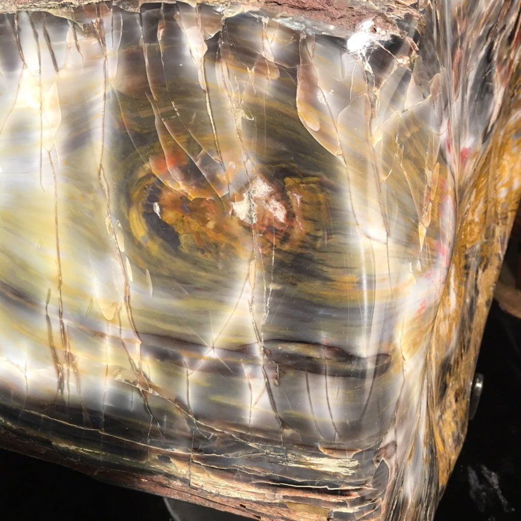 #A6 Museum Arizona Petrified Wood Sculpture Hand Polished With Yellow Starburst & Knot - 120 Lbs