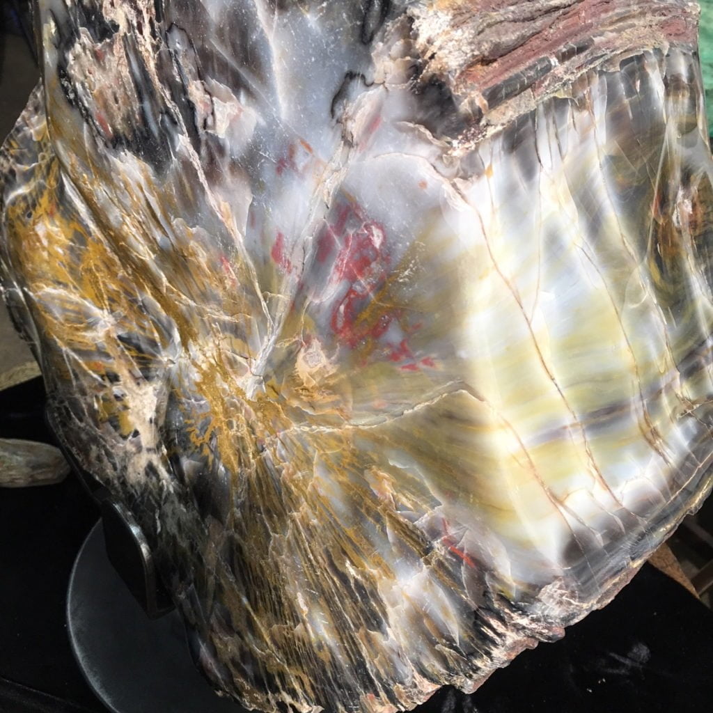 #A6 Museum Arizona Petrified Wood Sculpture Hand Polished With Yellow Starburst & Knot - 120 Lbs