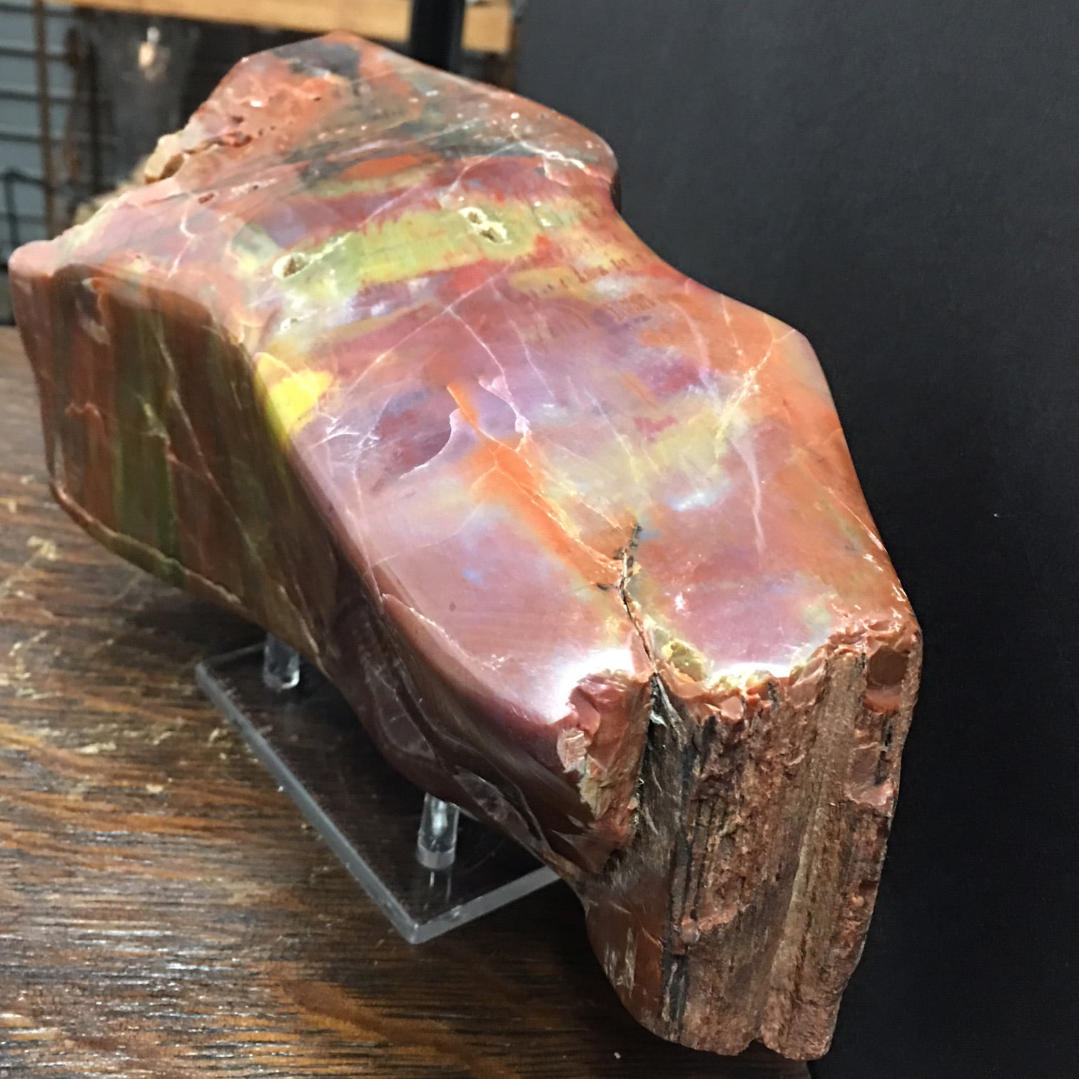 #PWD1 Arizona Rainbow Petrified Wood Display Piece
