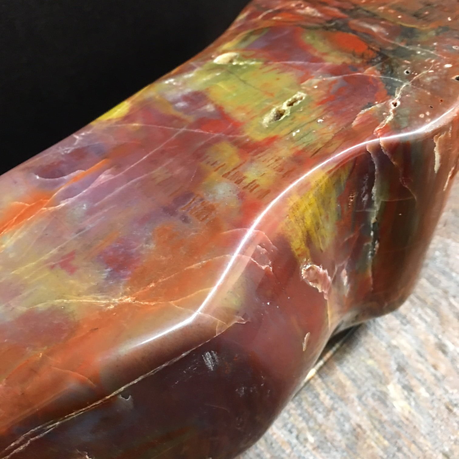#PWD1 Arizona Rainbow Petrified Wood Display Piece