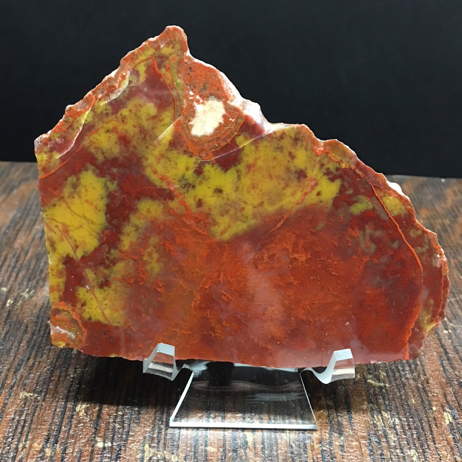 YCPW2 Yellow Cat Red Wood, A Rare Utah Petrified Wood Agate Limb Cast