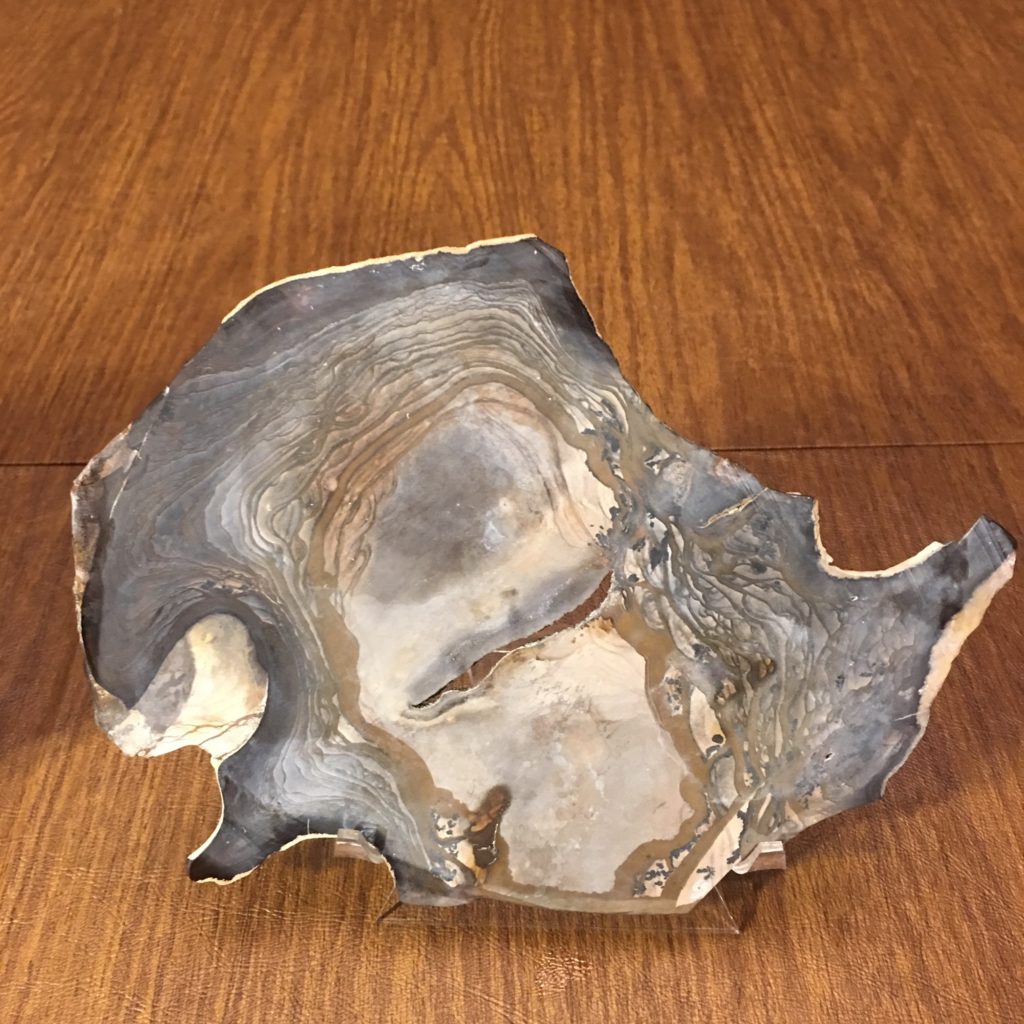 #JASPBIG3 Old Stock Biggs Creek Picture Jasper Slice