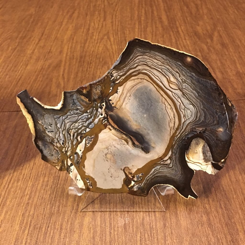 #JASPBIG3 Old Stock Biggs Creek Picture Jasper Slice