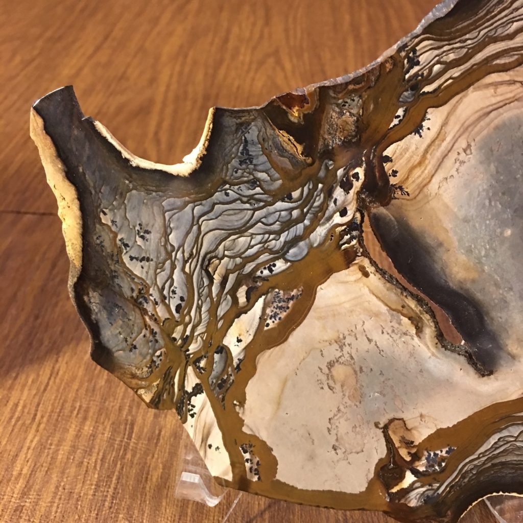 #JASPBIG3 Old Stock Biggs Creek Picture Jasper Slice