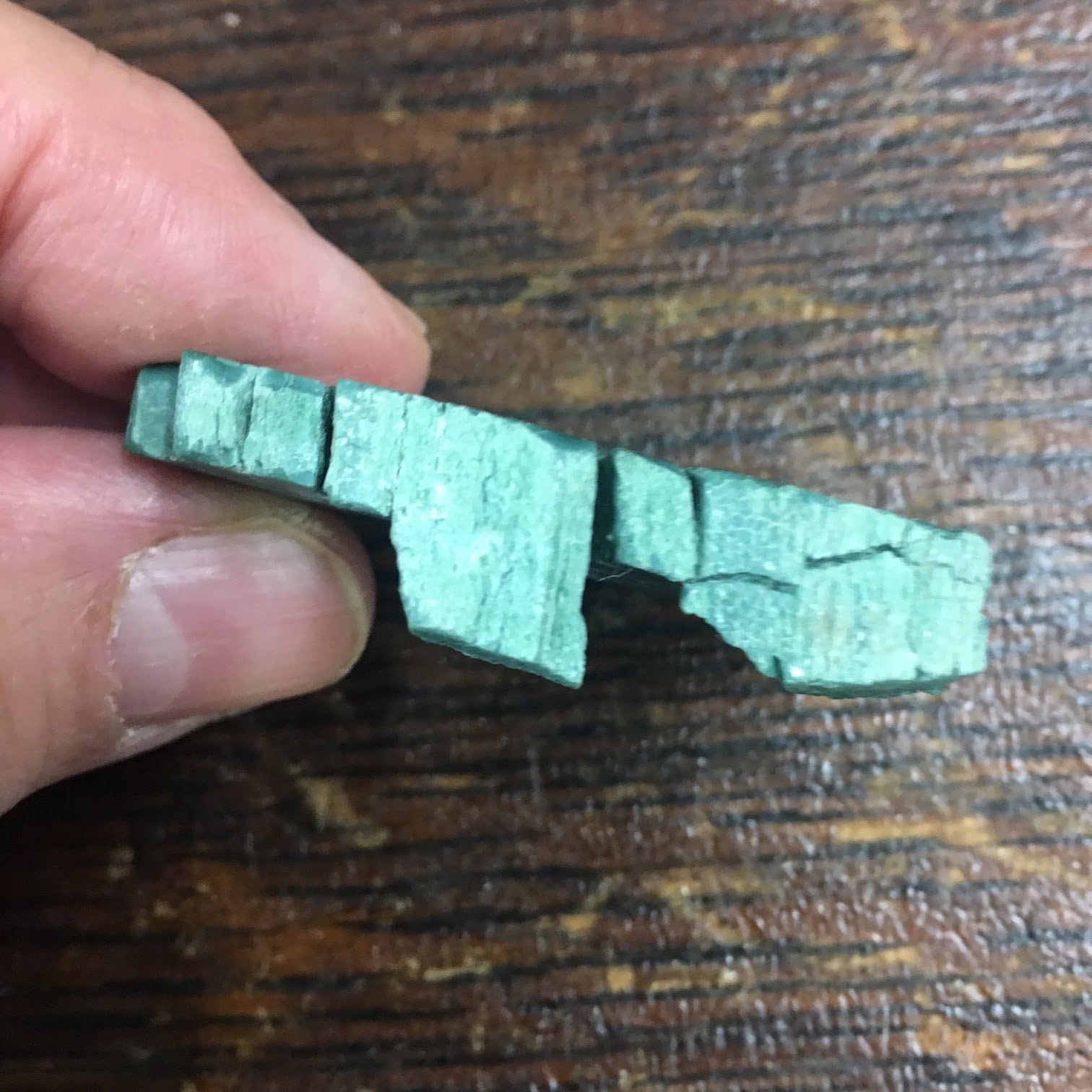 #GCPW2 Rare Mint Green Chromium Petrified Wood Limb Slice. From the Chinle formation near Winslow, AZ.