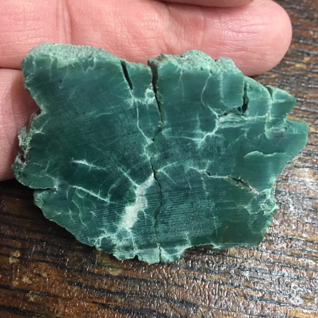 #GCPW2 Rare Mint Green Chromium Petrified Wood Limb Slice. From the Chinle formation near Winslow, AZ.