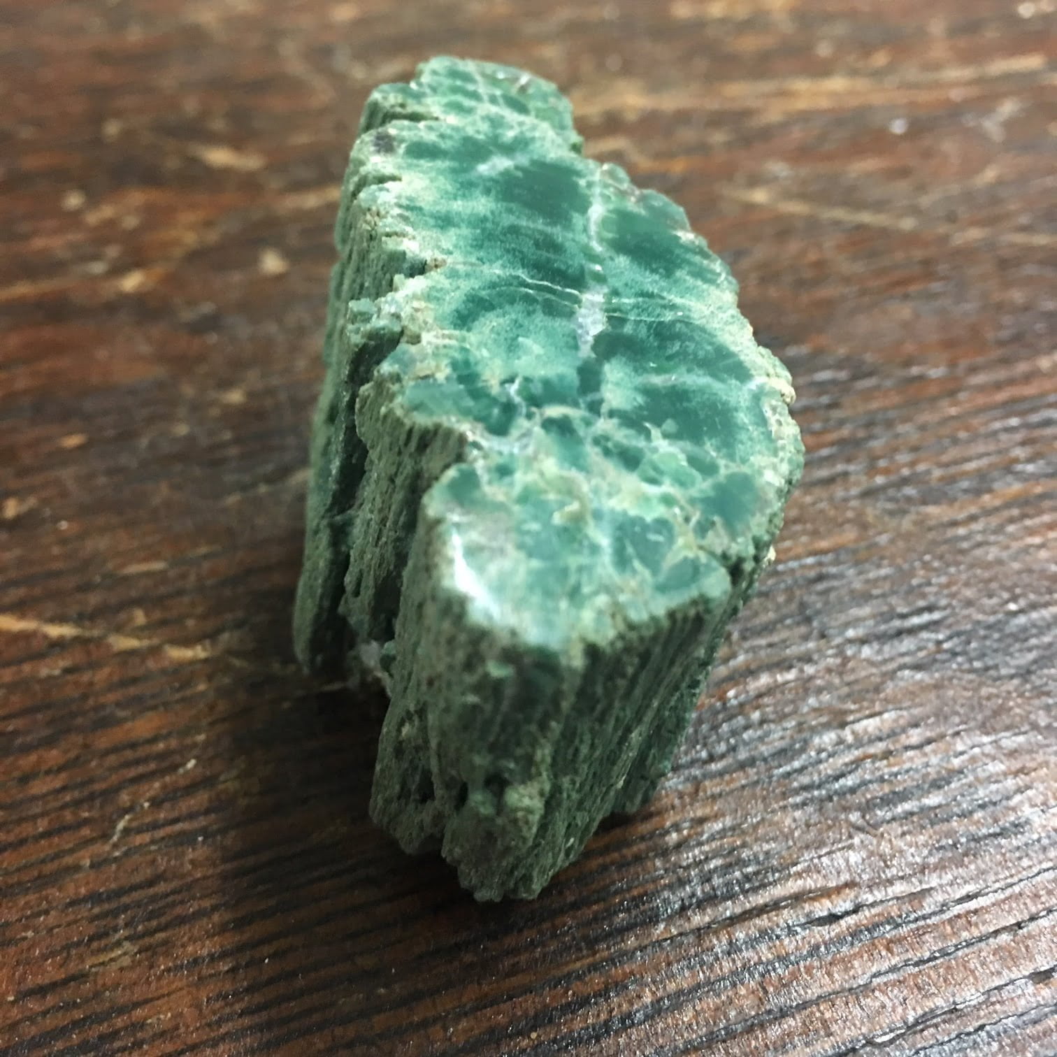 #GCPW3 Rare Mint Green Chromium Petrified Wood Limb Section. Very beautiful.