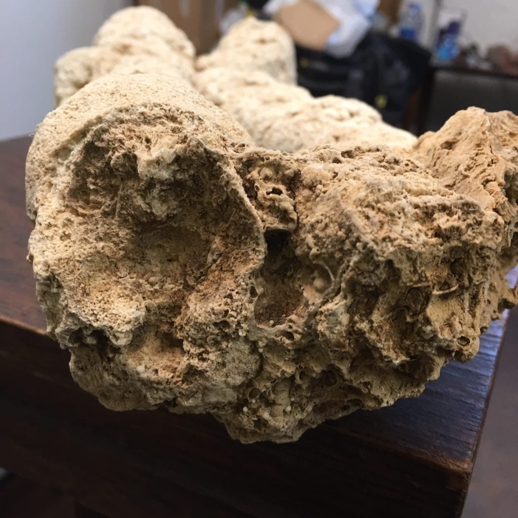 #SP1 Very Rare Stalactite Speleothem from Java Island, Indonesia