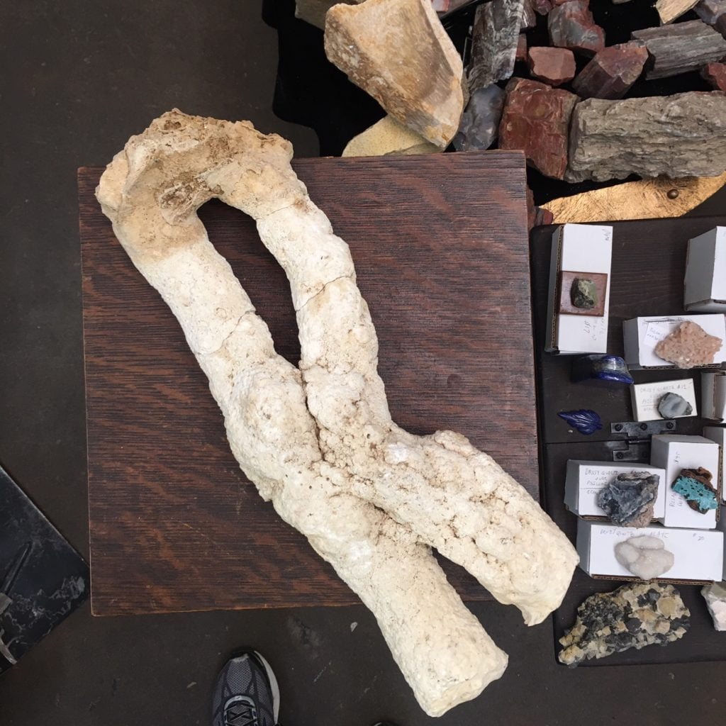 #SP1 Very Rare Stalactite Speleothem from Java Island, Indonesia