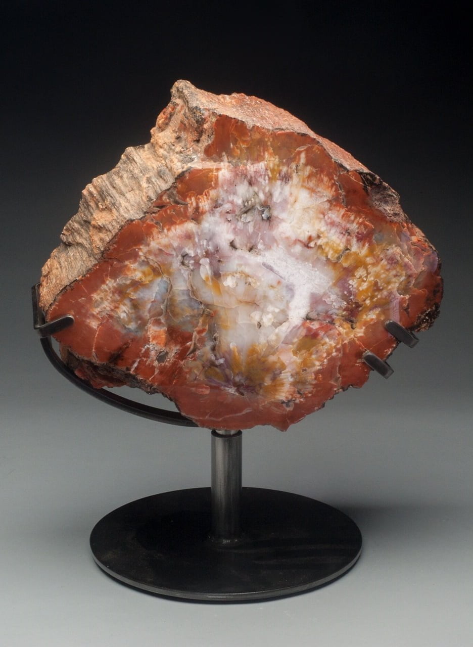 #A7 Museum Arizona Petrified Wood Sculpture Hand Polished Both Sides - 40 Lbs Plus Rotating Stand