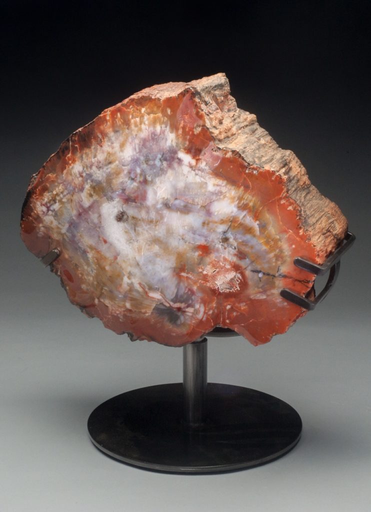 #A7 Museum Arizona Petrified Wood Sculpture Hand Polished Both Sides - 40 Lbs Plus Rotating Stand