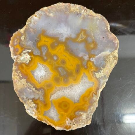 Kentucky Agate Cut Nodule features yellow, gray, and white colors across its 4.5-inch polished form.