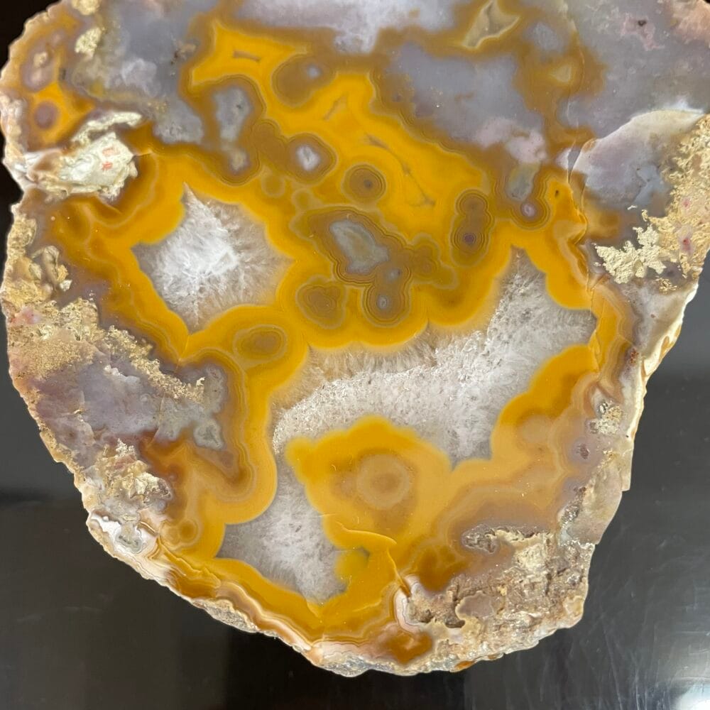 The Kentucky Agate Cut Nodule features a polished slice with yellow, gray, and white colors. Sourced from a stunning Kentucky Agate, it showcases intricate banding patterns and rough edges against a black background.