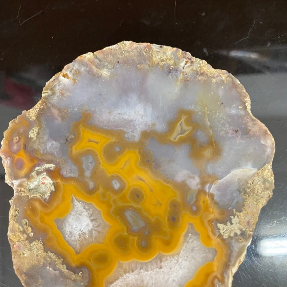 A close-up of the Kentucky Agate Cut Nodule—Yellow, Gray, White Colors 4.5 in—shows polished translucent yellow, gray, and white banding set against a dark background.