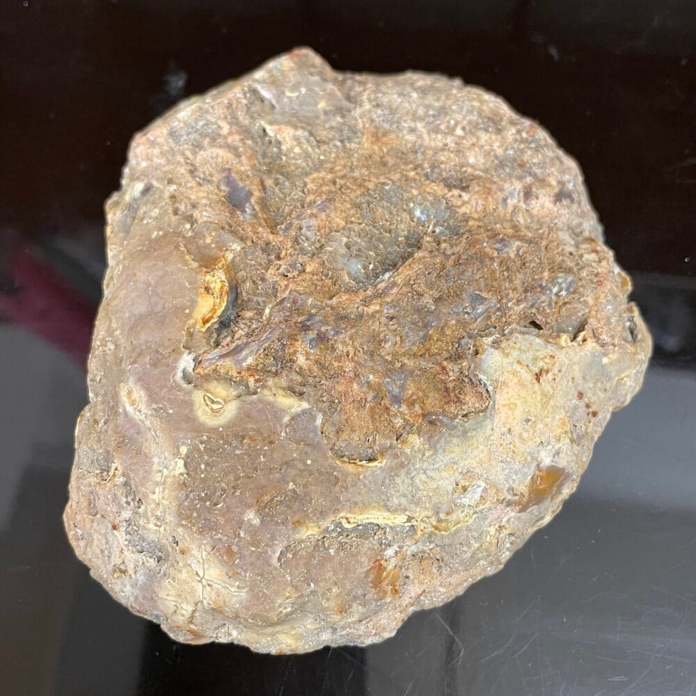 A Kentucky Agate Cut Nodule in yellow, gray, and white rests on a black surface, showcasing its hidden beauty.