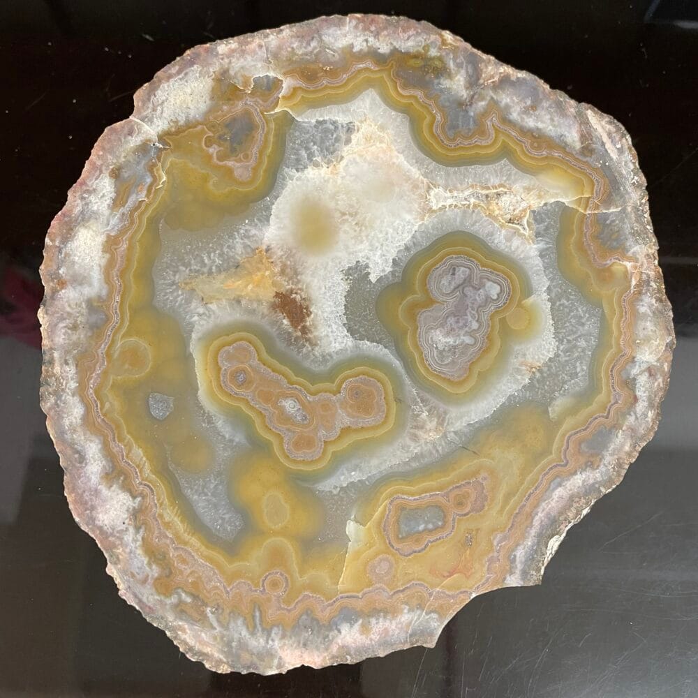 The Kentucky Agate Cut Nodule - Yellow, Gray, Gold-ish, Tan Colors features polished concentric bands in vibrant hues and a rough, uneven outer edge.