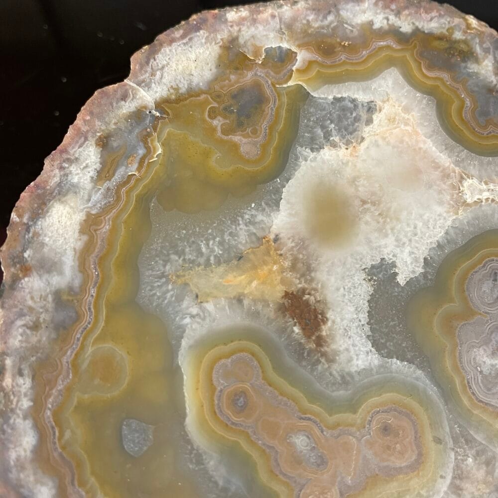 Close-up of a polished Kentucky Agate Cut Nodule, featuring layered patterns in yellow, gray, gold-ish, and tan colors.