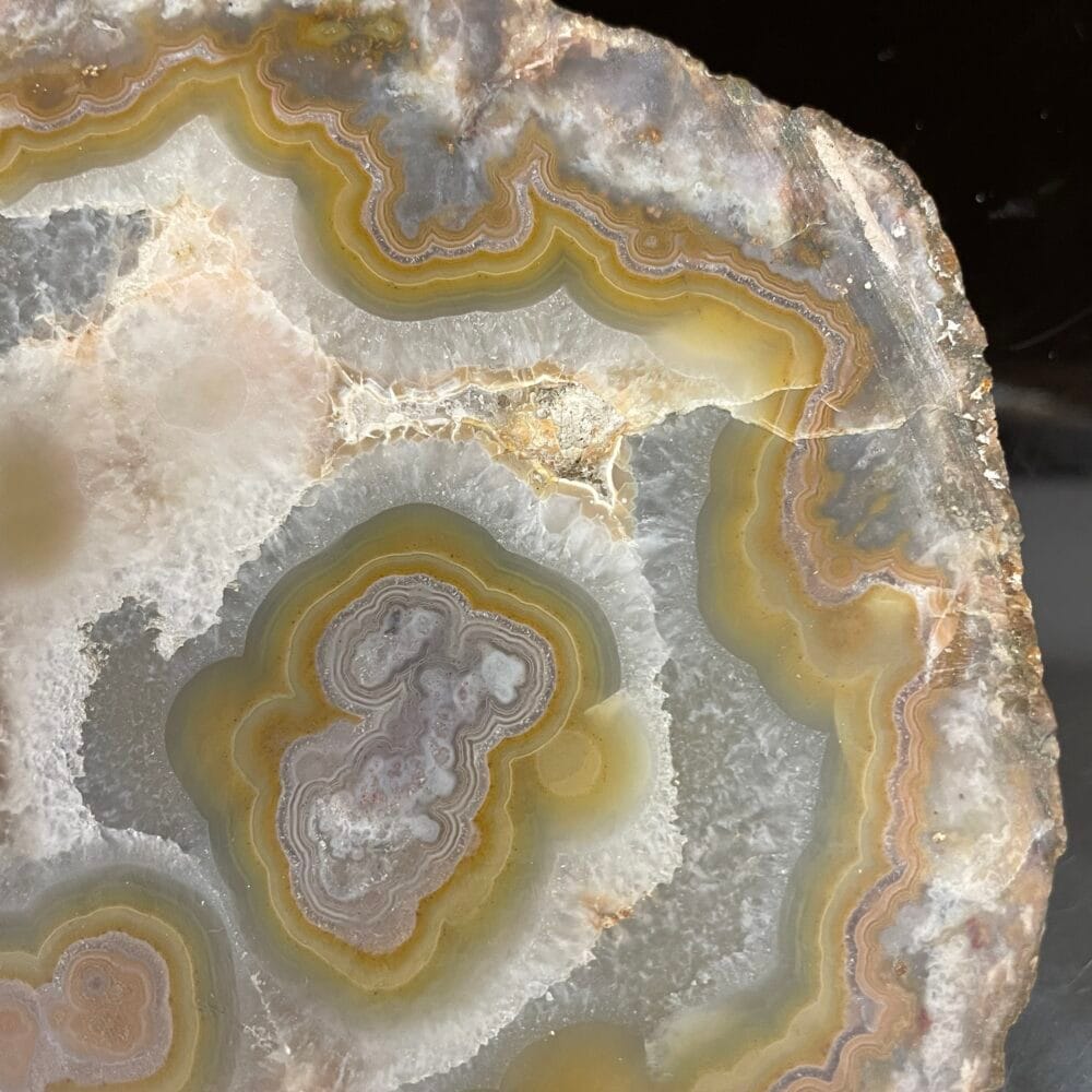 A polished Kentucky Agate Cut Nodule features concentric bands in shades like yellow, gray, gold-ish, and tan. Its rough edges display intricate patterns formed by layers of mineral deposits.