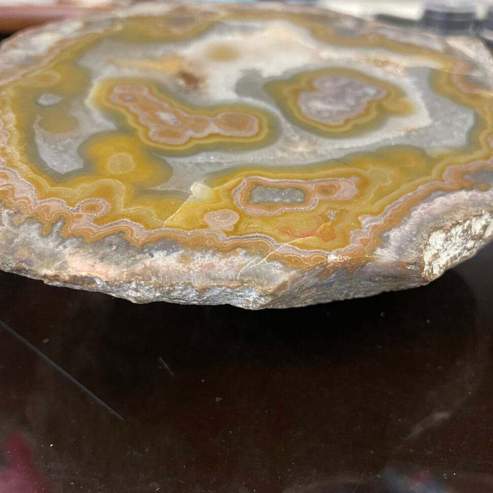 A close-up of the Kentucky Agate Cut Nodule shows layered yellow, gray, gold-ish, and tan bands—classic agate colors—resting on a dark surface.