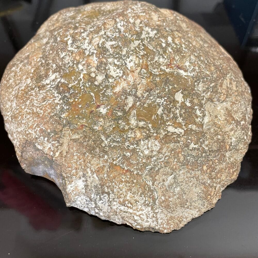 A Kentucky Agate Cut Nodule in yellow, gray, gold-ish, and tan colors rests on a dark background with intricate patterns.