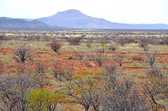 
Typical Veld Landscape near Petrified forest in Namibia