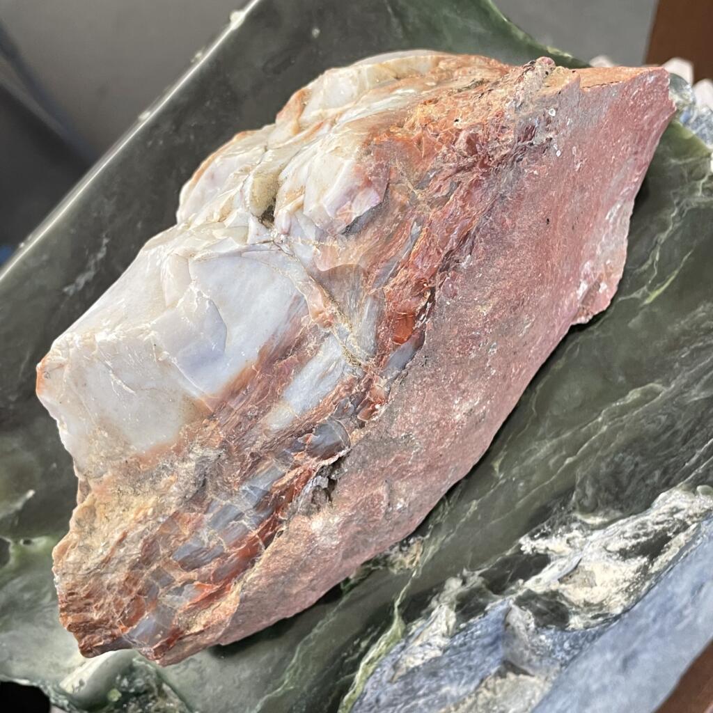 Arizona Rainbow Petrified Wood, 4lbs 10oz (2111g), displaying blue-grey on rust colors, is placed on a dark green stone surface.