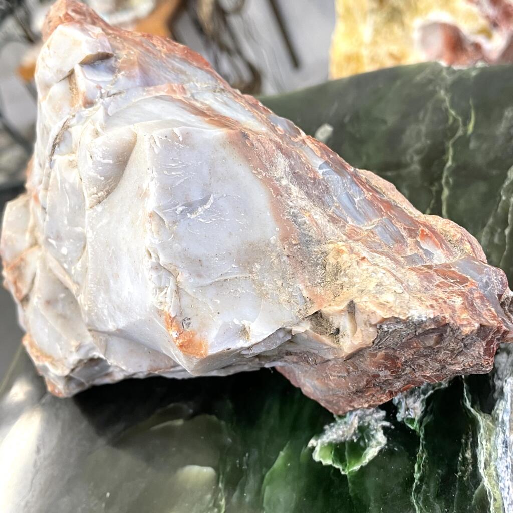 The Arizona Rainbow Petrified Wood, weighing 4lbs 10oz (2111g), features striking blue-grey and rust hues and rests on a glossy dark green surface.