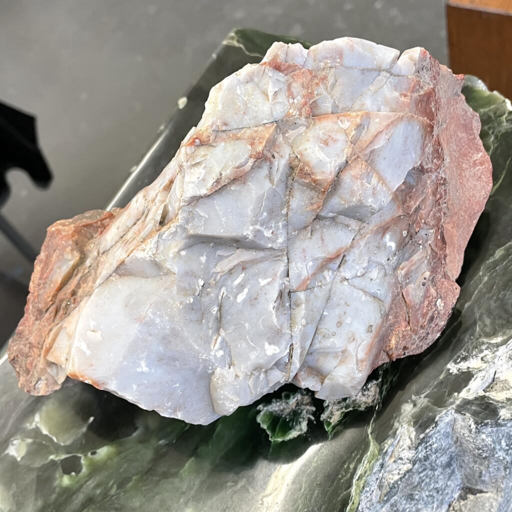 A rough, irregularly shaped chunk of Arizona Rainbow Petrified Wood, displaying blue-grey on rust colors and weighing 4 lbs 10 oz (2111g), rests on a dark green stone surface.