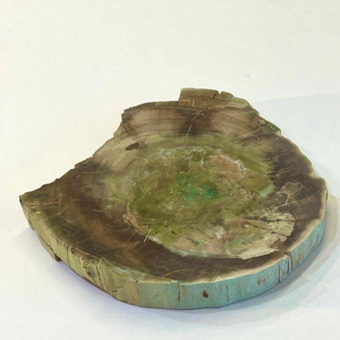 Rare Green Chromium Petrified Wood from Gokwe, Zimbabwe