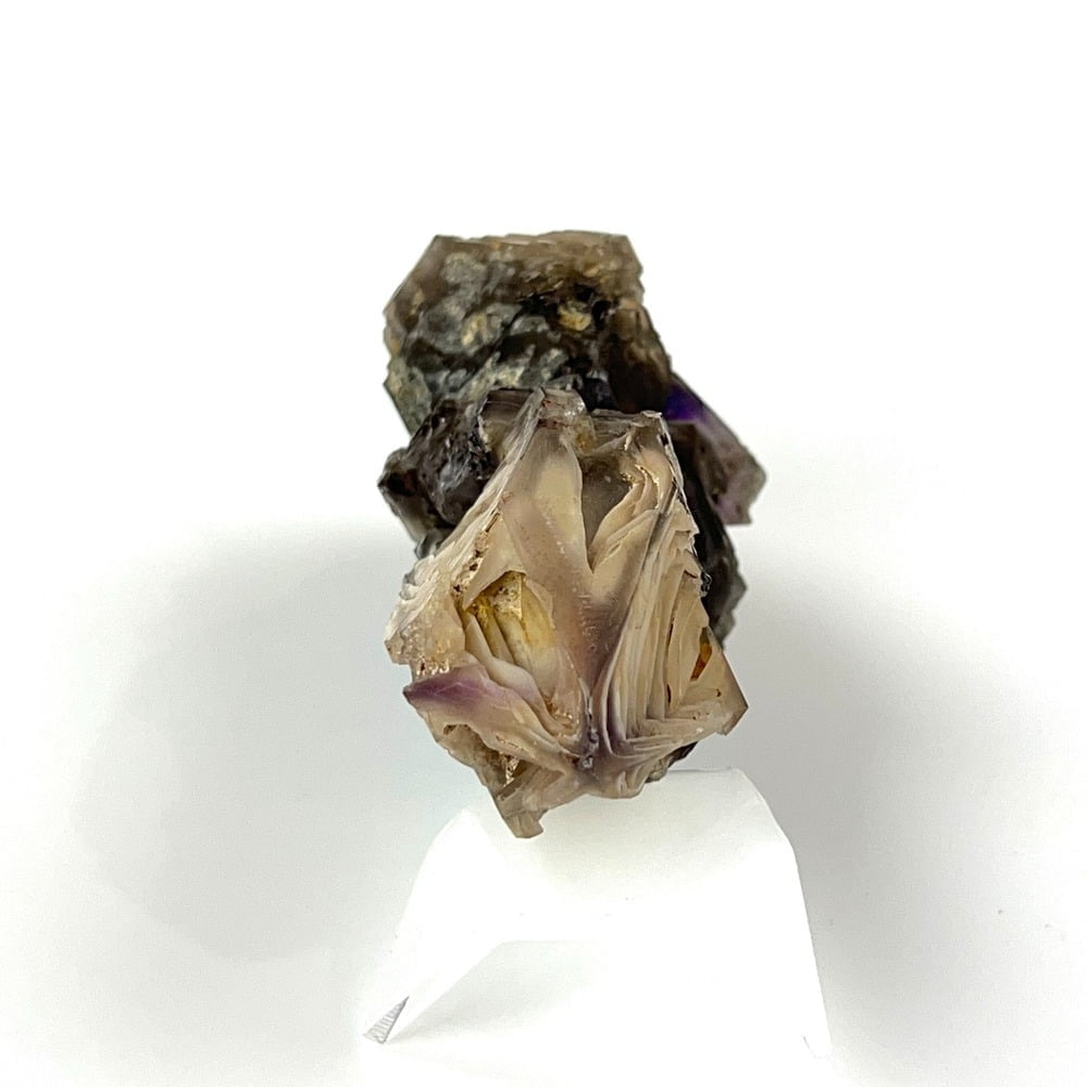 Very Dramatic Very Rare Partial Amethyst and Smoky Quartz Cluster with Crystal Growing in Included Layers-#AMXY1-7