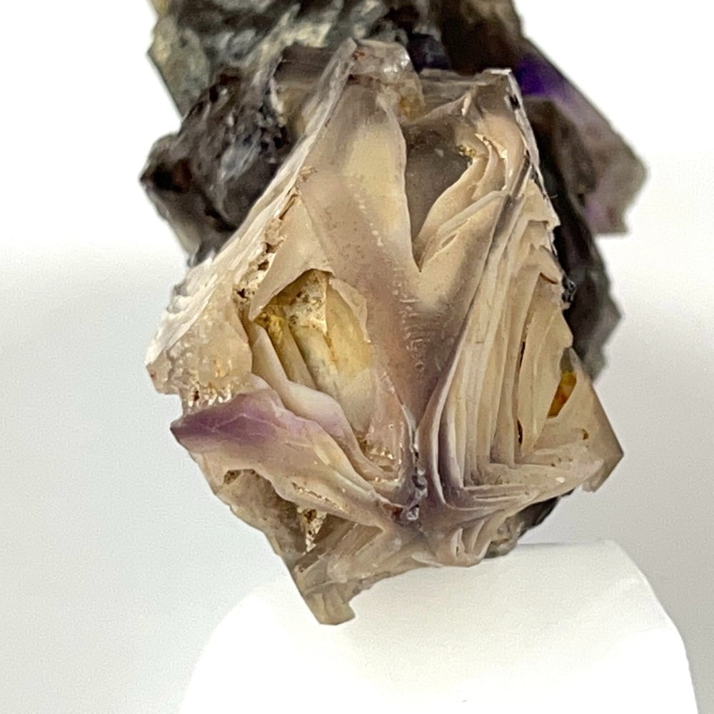 Very Dramatic Very Rare Partial Amethyst and Smoky Quartz Cluster with Crystal Growing in Included Layers-#AMXY1-8