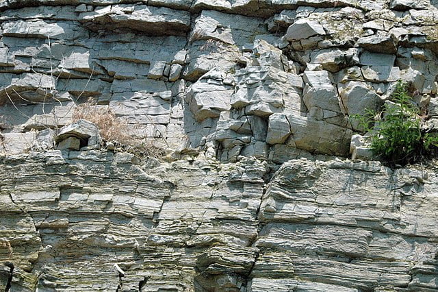 Put-in-Bay Dolomite South Bass Island, Lake Erie,Ohio