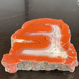 A polished Very Rare YellowCat Utah Petrified Wood Agate slice slab with rough edges, displayed on a shiny black surface.