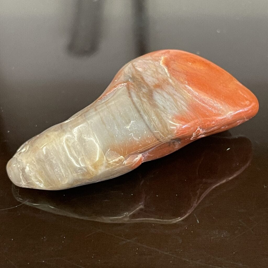 The Arizona Rainbow Petrified Wood Polished Chunk Specimen 1 oz – showcases smooth surfaces with reddish-orange and grayish-white hues, making it a striking addition to any collection.