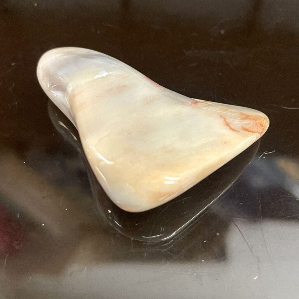 vArizona Rainbow Petrified Wood Polished Chunk Specimen 1.75 oz or 50g – AA11