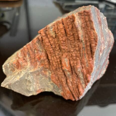 Arizona Rainbow Petrified Wood - Natural Specimen 1128g or 2 lb 7.75 oz – AA38