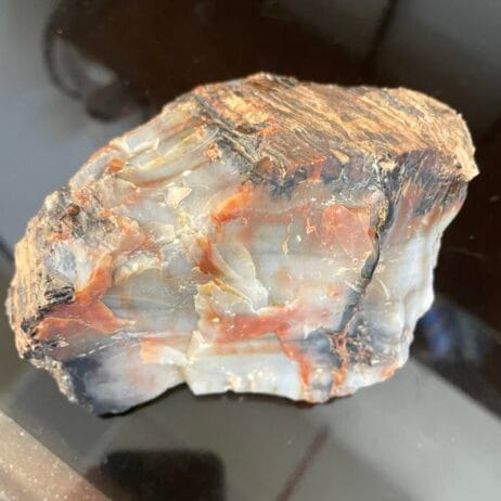 Arizona Rainbow Petrified Wood - Natural Specimen 785g or 1 lb 11.5 oz – AA40