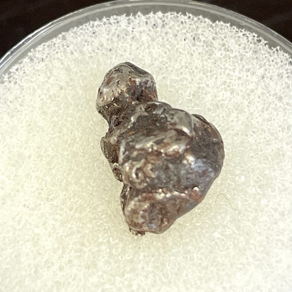 The IM26 Campo del Cielo Iron Meteorite Nice 1.55g Specimen, a small and uniquely shaped fragment, is displayed on a white textured surface.