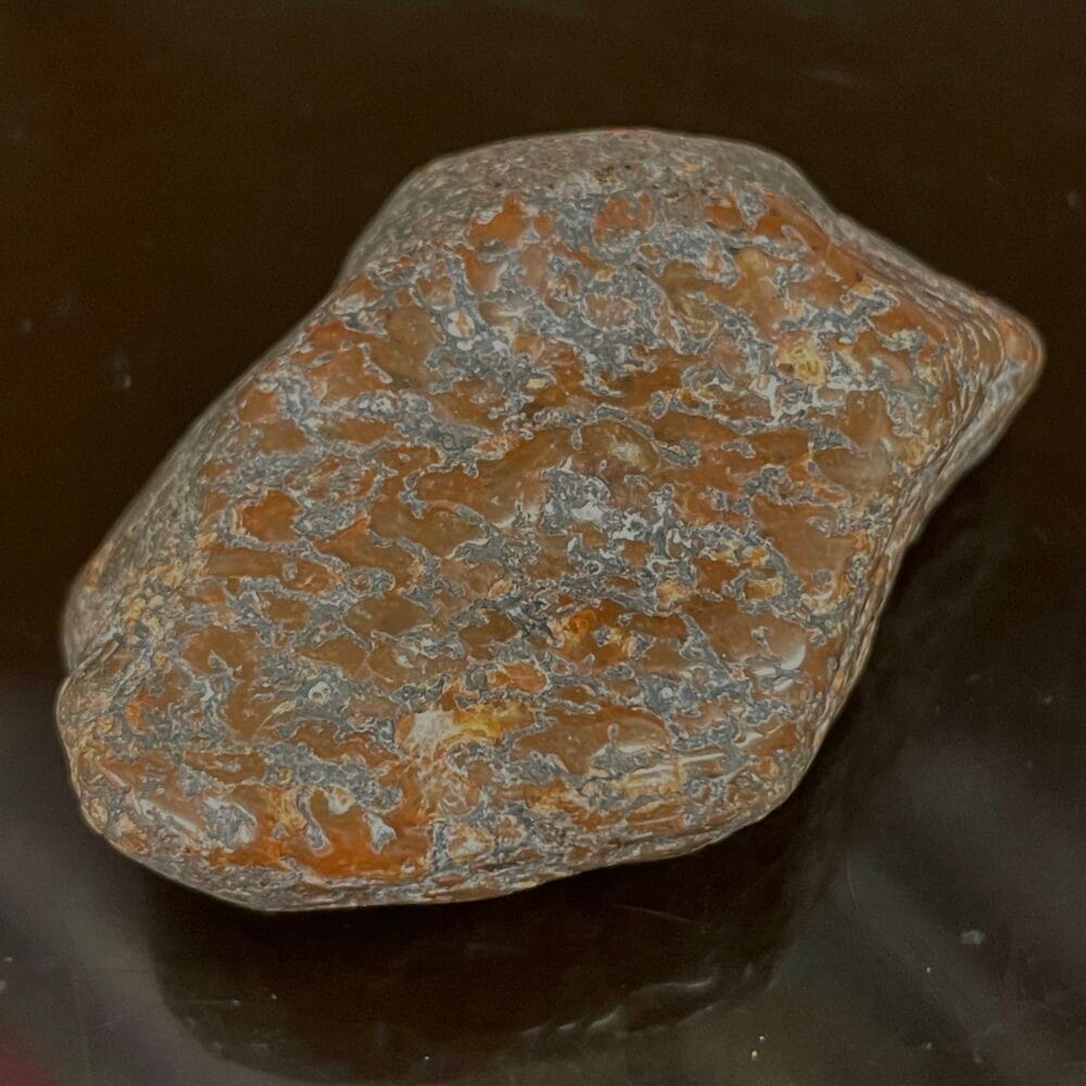 A tumble-polished Dinosaur Bone Specimen, featuring brownish-red with gray patterns, rests on a dark surface.