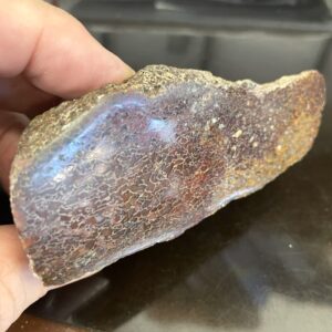 A hand holds the Dinosaur Bone Red, Brown and White Slice Slab 108g, showcasing its textured brown exterior with red and white hints.